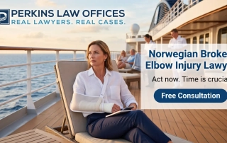 Norwegian Broken Elbow Injury Lawyer